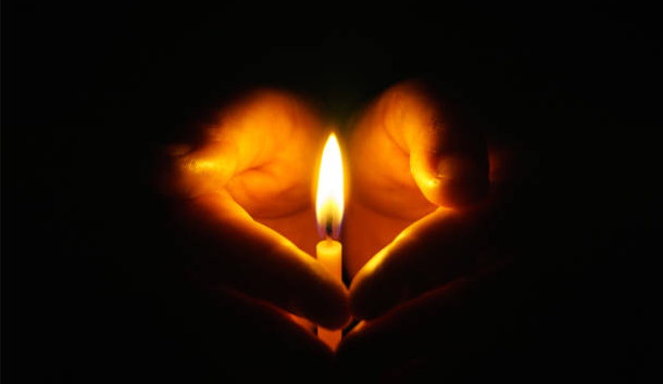 Sophia Moolekamp Penfield NY Obituary Death - In Remembrance Of Sophia Moolekamp